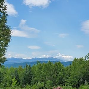 Meet your Posher, Norma